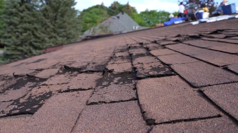 Best Gutter Installation and Repair  in Rockdale, IL