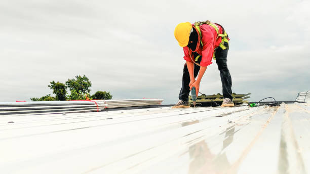 Best Asphalt Shingle Roofing  in Rockdale, IL